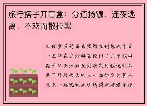 旅行搭子开盲盒：分道扬镳、连夜逃离、不欢而散拉黑